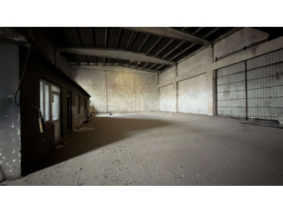 WhatsApp Image 2026-03-30 at 20.43.21.jpeg